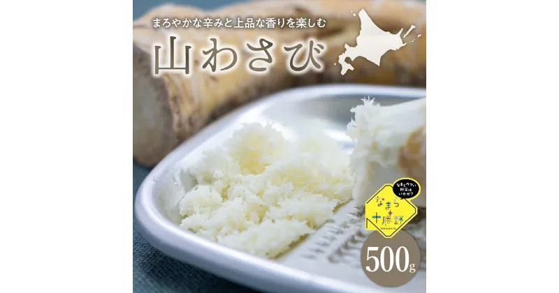 【ふるさと納税】先行予約【2024年11月より配送】なまら十勝野の 山わさび 500g 山葵 西洋わさび ホースラディッシュ 先行受付 北海道 十勝 芽室町