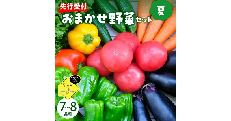 【ふるさと納税】【先行予約】【2025年8月より発送】産地直送 なまら十勝野の 季節のおまかせ 野菜 セット 夏詰合せ 旬 食品 グルメ 送料無料 冷蔵発送 北海道 十勝 芽室町