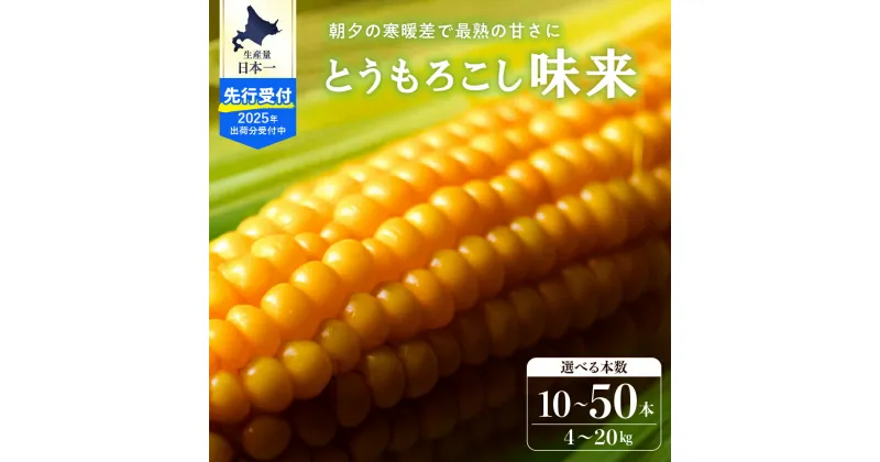 【ふるさと納税】【 2025年 先行予約 】と うもろこし 味来 (選べる : 10本 / 20本 / 30本 / 40本 ) 北海道産 朝どれ スイートコーン ハニーバンダム みらい トウモロコシ とうきび 生 野菜 黄色 産地直送 送料無料 期間限定 数量限定お 贈答 北海道 十勝 芽室町 めむろ