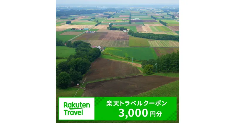 【ふるさと納税】北海道芽室町の対象施設で使える楽天トラベルクーポン 寄付額10,000円