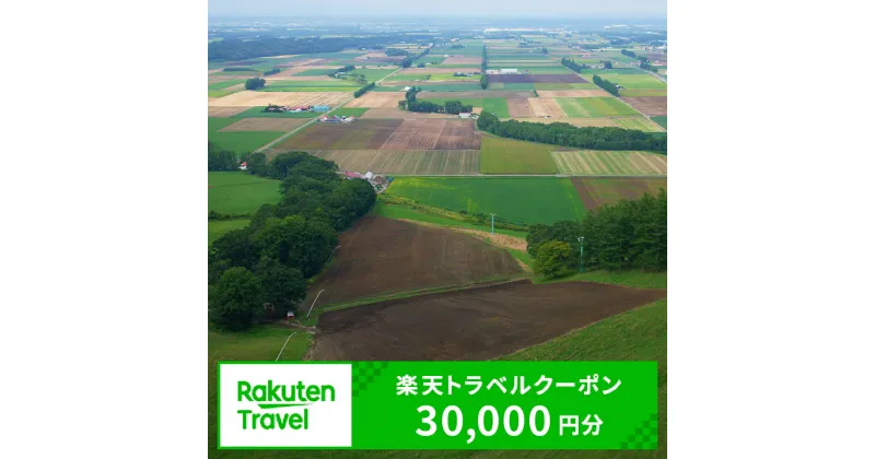 【ふるさと納税】北海道芽室町の対象施設で使える楽天トラベルクーポン 寄付額100,000円