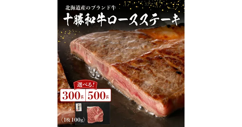 【ふるさと納税】十勝和牛 ロース ステーキ 100g × 3枚 5枚 ブランド牛 黒毛和牛 安心 安全 送料無料 お取り寄せ グルメ 国産 牛肉 肉 ギフト 手土産 北海道 芽室町