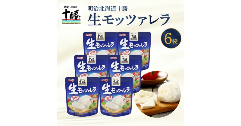 【ふるさと納税】 明治 北海道 十勝 チーズ 生モッツァレラ 6個 セット 100g×6袋 おつまみ 冷蔵便 詰め合わせ チーズ cheese CHEESE 乳製品 生乳 凝縮 ミルク 新鮮 パック お取り寄せ サラダ カプレーゼ ピザ トースト 芽室町