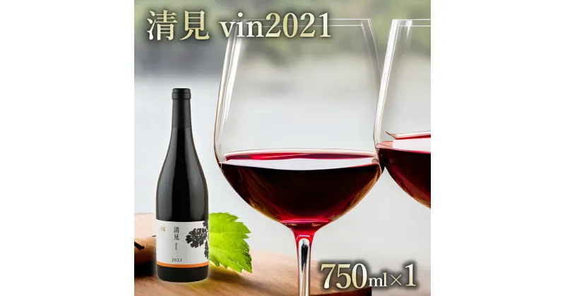 【ふるさと納税】赤ワイン：清見 vin2021 750ml×1本(箱入) 北海道 十勝 芽室町