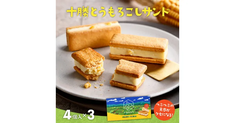 【ふるさと納税】 十勝とうもろこしサンド 3箱セット 北海道 芽室町 サンド クッキー 焼菓子 ウモロコシ とうもろこし もろこし モロコシ とうきび コーン こーん ホワイトチョコ チョコレート チョコ おやつ 贈り物 ギフト お土産 おみやげ 手土産 手みやげ 国産