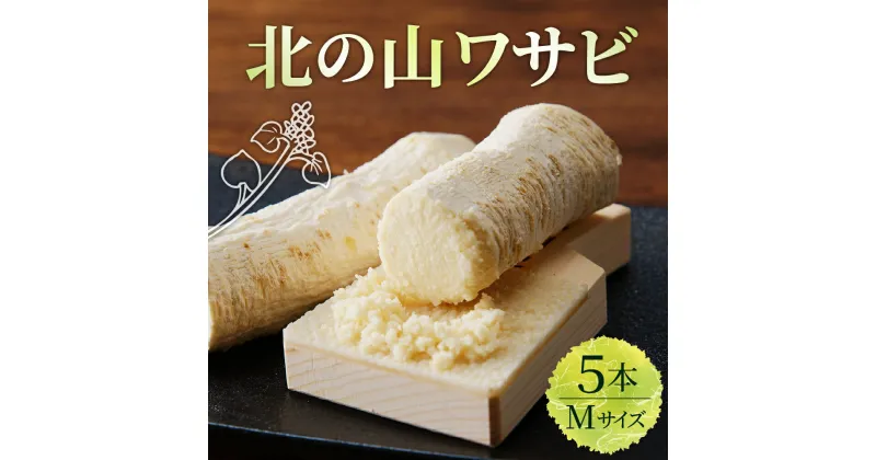 【ふるさと納税】北の山ワサビ（根茎）Mサイズ 1本入×5パック ホースラディッシュ 西洋わさび 山葵 薬味 真空パック 冷蔵便 国産 北海道 十勝 芽室町