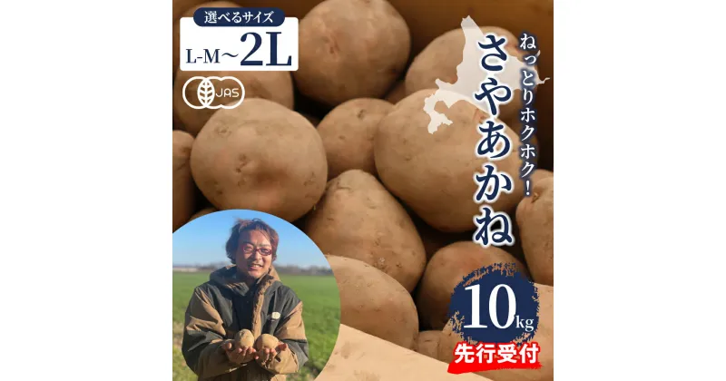 【ふるさと納税】【2024年12月より配送】＼選べるサイズ／ 北海道産 じゃがいも さやあかね 10kg 栽培期間中 農薬不使用 L-M L 2L サイズ 先行予約 ジャガイモ 芋 いも ポテト 馬鈴薯 野菜 おかず 常温 送料無料 産地直送 お取り寄せ 北海道 十勝 芽室町