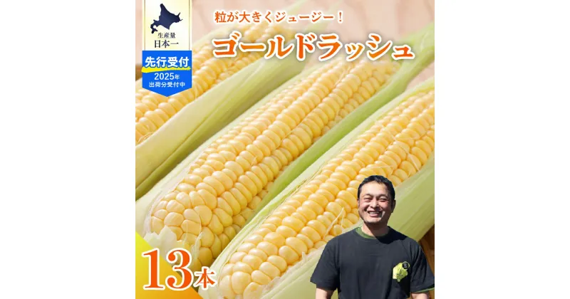 【ふるさと納税】【2025年分 先行予約】とうもろこし スイートコーン ゴールドラッシュ 13本令和7年産 トウモロコシ 野菜 BBQ ソロキャンプ 送料無料 お取り寄せ 北海道 十勝 芽室町