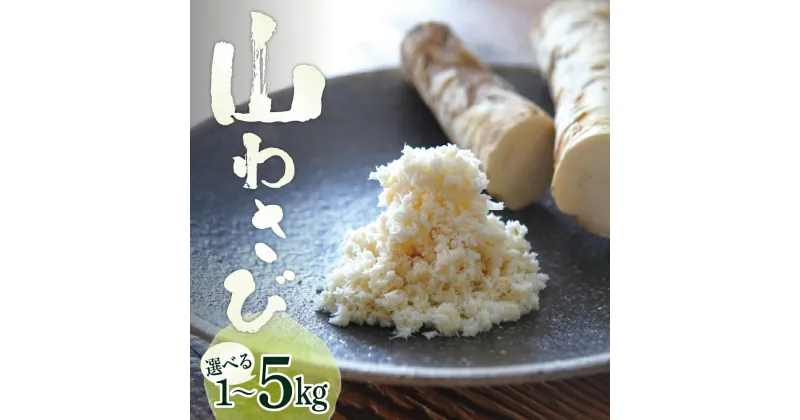 【ふるさと納税】十勝産 山わさび 土付き 選べる内容量 1kg 3kg 5kgワサビ わさび 生わさび 生 西洋わさび 新鮮 薬味 調味料 産地直送 お取り寄せ グルメ 北海道 十勝 芽室町