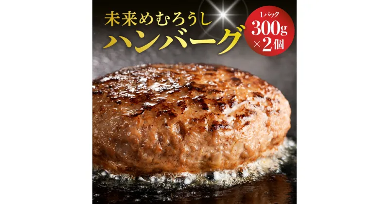 【ふるさと納税】 未来めむろうし ハンバーグ 300g ×2個 冷凍 国産 和牛 牛肉 ビーフ 加工食品 加工品 惣菜 おかず パック セット 贈り物 ギフト お取り寄せ 北海道 十勝芽 室町