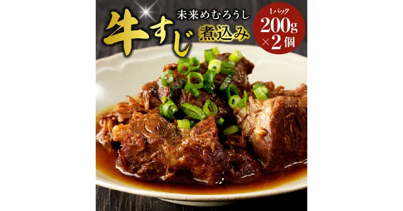 【ふるさと納税】未来めむろうし 牛すじ 煮込み 2個 冷凍 和牛 国産 牛肉 ビーフ 加工食品 加工品 惣菜 おかず パック セット 贈り物 ギフト お取り寄せ 北海道 十勝 芽室町