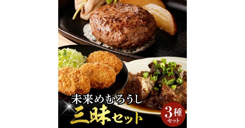 【ふるさと納税】未来めむろうし三昧 3種セット ( ハンバーグ 牛すじ煮込み コロッケ ) 冷凍 国産 和牛 牛肉 ビーフ 加工食品 加工品 惣菜 おかず セット 詰め合わせ 食べ比べ 贈り物 ギフト お取り寄せ 北海道 十勝 芽室町北海道 十勝芽 室町