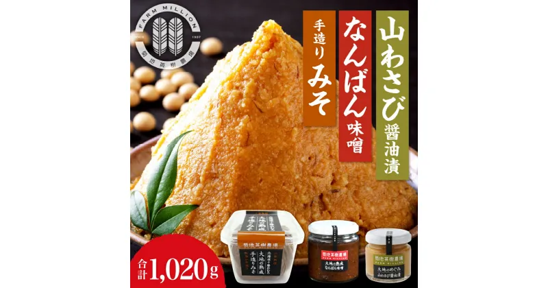 【ふるさと納税】大地の熟成 手造り味噌 700g なんばん味噌 240g 山わさび 80g セット 十勝産大豆 調味料 わさび 味噌汁 ラーメン うどん パスタ 送料無料 北海道 十勝 芽室町