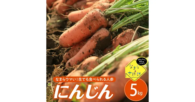 【ふるさと納税】【10月上旬より発送】なまら十勝野 芽室町産 にんじん 5kg 先行予約 北海道産 新鮮 野菜 人参 産地直送 送料無料 お取り寄せ 北海道 十勝 芽室町