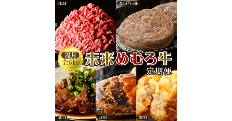 【ふるさと納税】 未来めむろ牛 定期便 隔月 全6回 / 牛肉 詰め合わせ 食べ比べ セット 惣菜 冷凍便 ひき肉 挽肉 ステーキ 牛すじ 牛すじ煮込み ハンバーグ ハンバーグステーキ コロッケ 肉じゃがコロッケ 北海道 十勝 芽室町