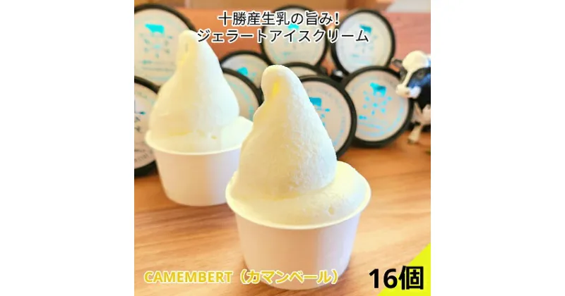 【ふるさと納税】十勝産生乳の旨み！カップアイス 16個セット CAMEMBERT（カマンベール）[C1-17]