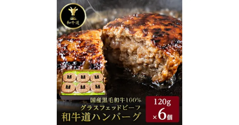 【ふるさと納税】和牛道ハンバーグ120g×6食セット【配送不可地域：離島】【1397514】