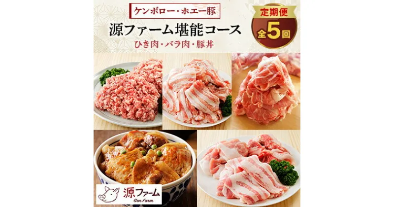 【ふるさと納税】【毎月定期便】北海道十勝産 ホエー豚 ひき肉、バラ肉、豚丼　源ファーム堪能コース　全5回【配送不可地域：離島】【4010968】