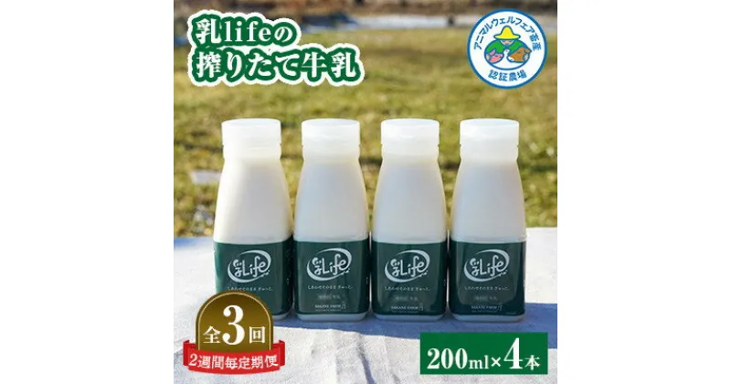 【ふるさと納税】【2週間毎定期便】しぼりたて牛乳 200ml × 4本セット〈坂根牧場〉無調整牛乳 低温殺菌全3回【配送不可地域：離島】【4050678】