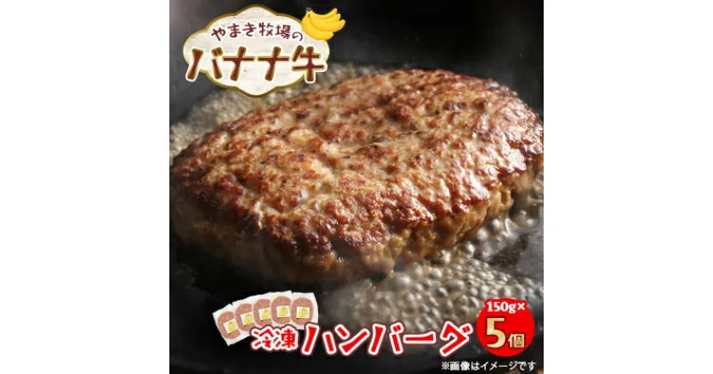 【ふるさと納税】冷凍ハンバーグ150g×5個 交雑牛〈北海道大樹町やまき牧場のバナナ牛〉【配送不可地域：離島】【1507255】