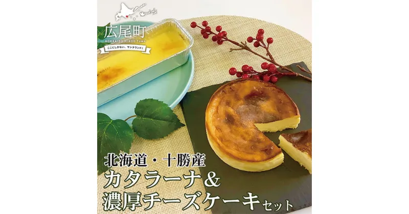 【ふるさと納税】カタラーナと濃厚チーズケーキセット