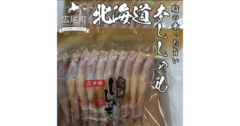 【ふるさと納税】岡嶋水産のししゃも食べきりセット【北海道広尾町産】【無添加】