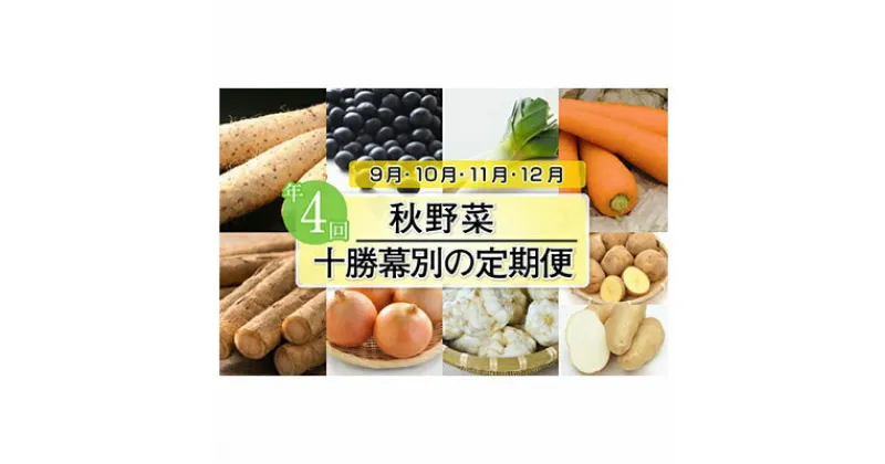 【ふるさと納税】十勝幕別の定期便 秋野菜 年4回お届け　【定期便・野菜・根菜・豆類・野菜/人参】