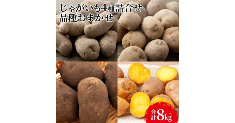 【ふるさと納税】じゃがいも4種詰合せ（品種おまかせ合計8kg）【十勝幕別 北海道ホープランド農場】　じゃがいも・野菜・セット・詰合せ　お届け：2025年1月中旬～2025年2月末