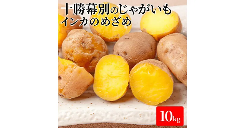 【ふるさと納税】十勝幕別のじゃがいも10kg（インカのめざめ）【北海道ホープランド農場】　野菜・じゃがいも　お届け：2025年1月中旬～2025年2月末