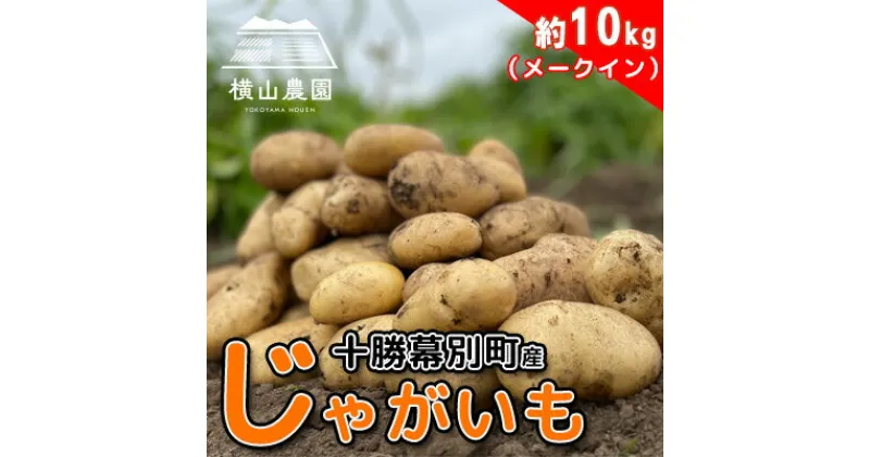 【ふるさと納税】北海道 十勝 幕別産 じゃがいも メークイン 約10kg【横山農園】[2024年9月下旬出荷開始]　 野菜 北海道産じゃがいも 完熟じゃがいも しっとり 煮込み料理 炒め物 肉じゃが 煮物 カレー シチュー 　お届け：2024年9月中旬～2024年11月末まで