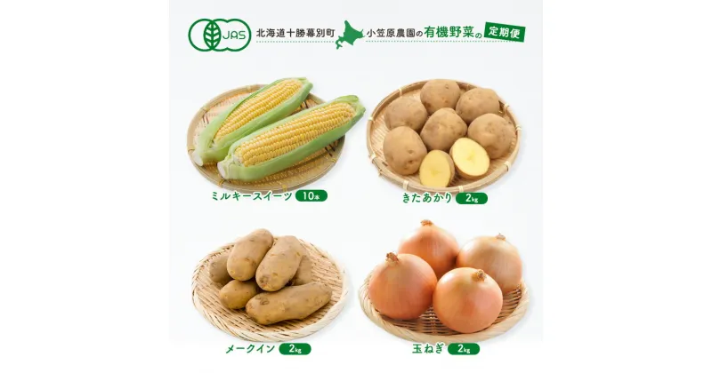 【ふるさと納税】小笠原農園の有機野菜の定期便 夏とうもろこし「 ミルキースイーツ 」10本・秋じゃがいも2種玉ねぎ(きたあかり2kg・メークイン2kg・玉ねぎ2kg)2025年8月発送開始 野菜 とうきび 芋 たまねぎ 北海道　定期便　お届け：2025年8月より出荷開始