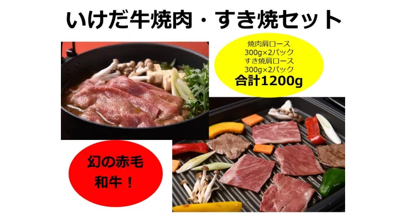 【ふるさと納税】ヘルシーで評判のあか毛和牛が1.2kg！北海道 いけだ牛焼肉・すき焼きセットC011-3-1