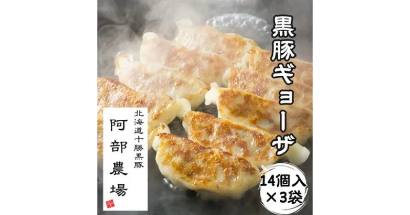 【ふるさと納税】北海道 手作り 黒豚 ギョーザ 42個 1350g お肉たっぷり 餃子 ギョウザ