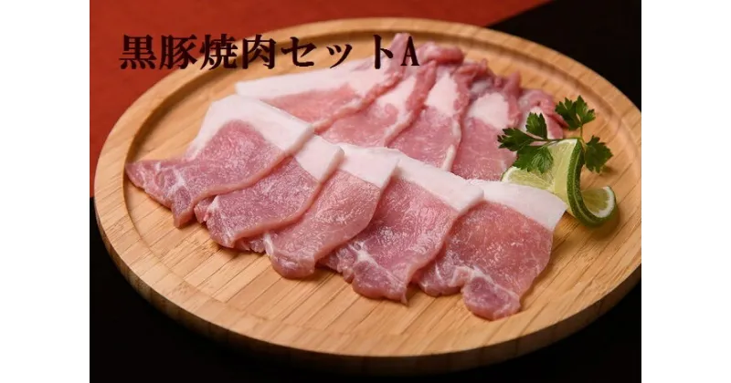 【ふるさと納税】北海道 黒豚焼肉セットA（1.2kg）ハンバーグ8個付A012-2-1