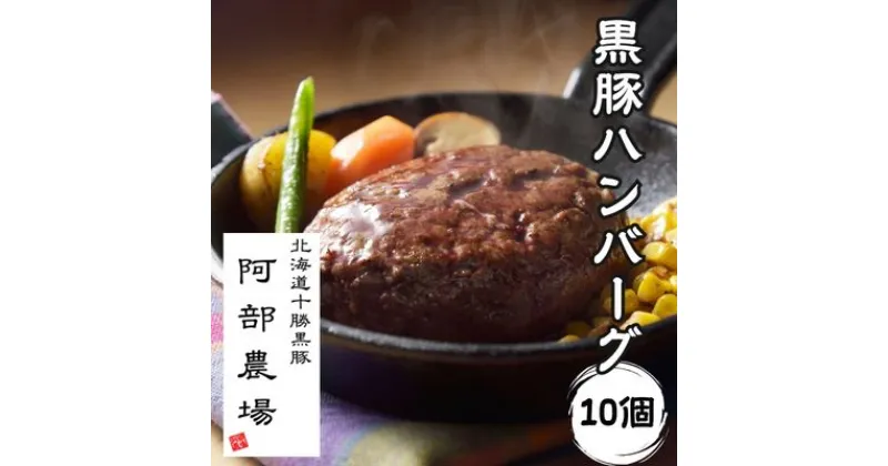 【ふるさと納税】北海道 黒豚ハンバーグ 150g×10個セット【P012-2-1】