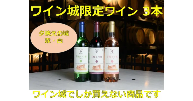 【ふるさと納税】北海道 十勝ワイン 池田町内限定3本セットB001-1-2