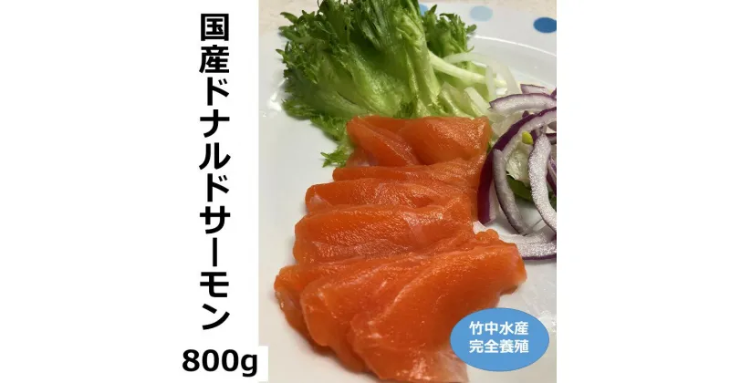 【ふるさと納税】北海道 国産 ドナルドサーモン(生食用) 800g 小分け 魚 サーモン 刺身 鮭 さけ サケ ふるさと 人気 魚介類 魚介