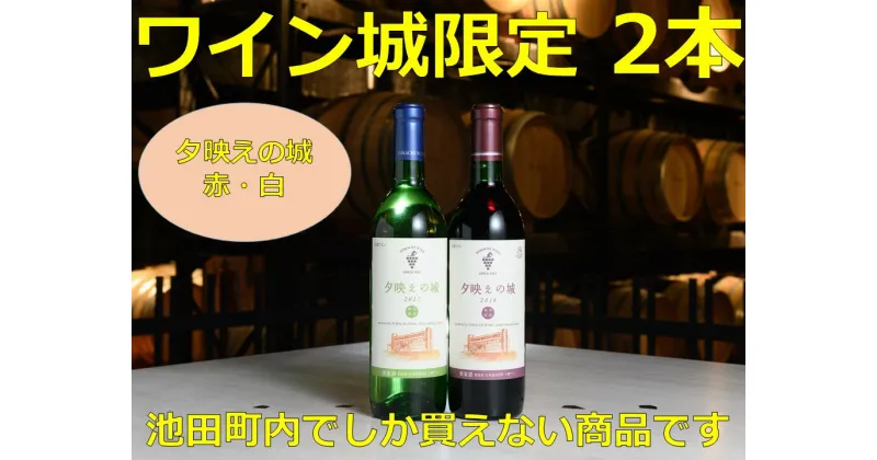 【ふるさと納税】北海道 十勝ワイン 池田町ワイン城限定2本セットA001-3-2