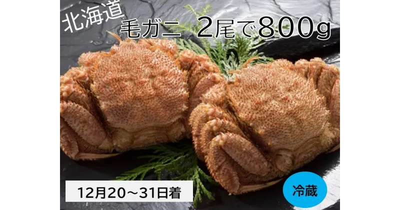 【ふるさと納税】年末 12/21～31配送 活ゆで 毛蟹（2尾×400g）合計800g 冷蔵 かに 蟹 カニ 国産 毛ガニ ふるさと納税 送料無料