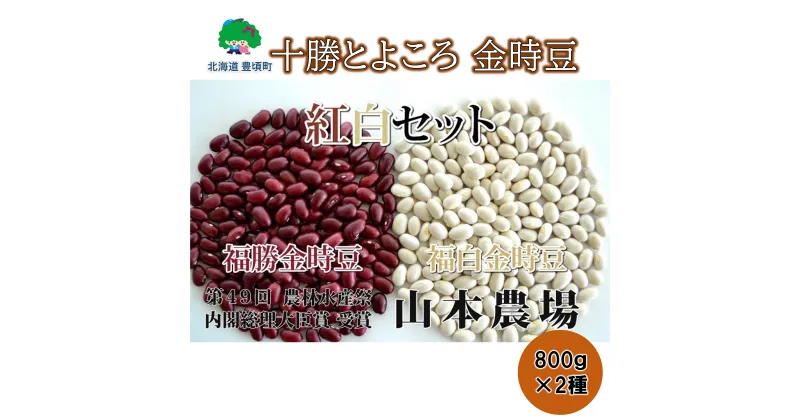 【ふるさと納税】山本農場 十勝とよころの 金時豆 紅白詰合せ 800g×2種 ” 北海道 十勝 豊頃町 ” 特産 農家直送 数量限定 送料無料 とよころ きんとき 金時 まめ 豆