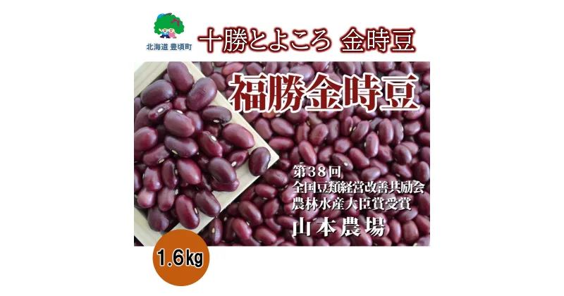 【ふるさと納税】山本農場 十勝とよころの 金時豆 ( 福勝金時 )1.6kg” 北海道 十勝 豊頃町 ” 特産 農家直送 数量限定 送料無料 金時 とよころ あずき しょうず まめ 豆