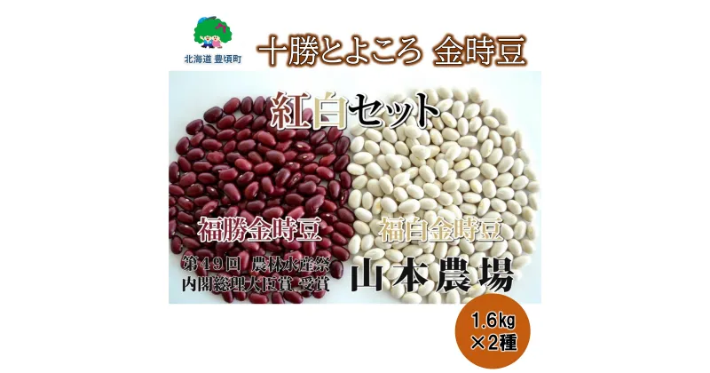 【ふるさと納税】山本農場 十勝とよころの 金時豆 紅白詰合せ 1.6kg×2種” 北海道 十勝 豊頃町 ” 特産 農家直送 数量限定 送料無料 とよころ 金時 きんとき まめ 豆