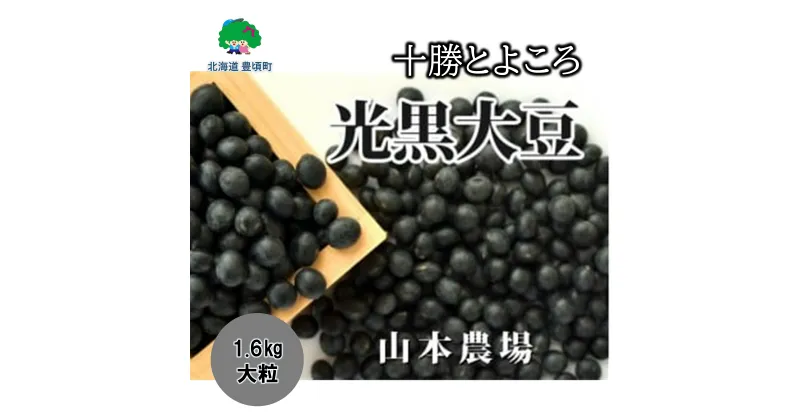 【ふるさと納税】山本農場 十勝とよころ 光黒大豆 1.6kg（大粒）” 北海道 十勝 豊頃町 ” 特産 農家直送 数量限定 送料無料 とよころ 大豆 くろまめ 黒豆 まめ 豆