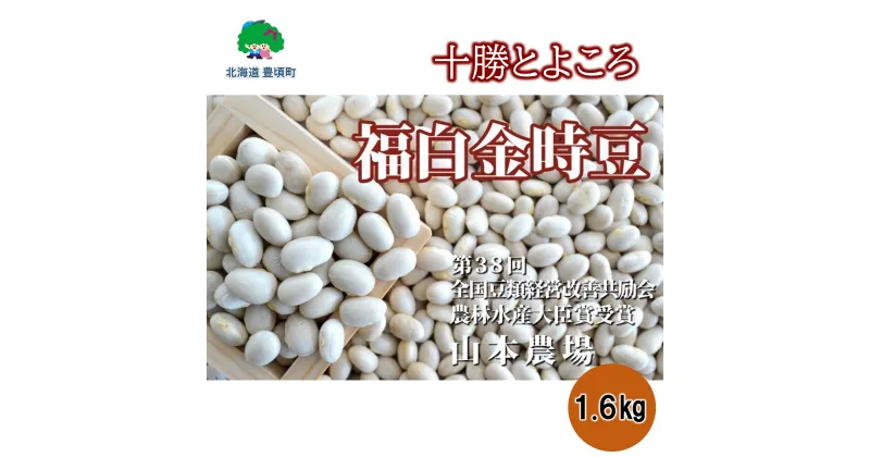 【ふるさと納税】山本農場 十勝とよころの 金時豆 福白金時豆 1.6kg” 北海道 十勝 豊頃町 ” 特産 農家直送 数量限定 送料無料 とよころ 金時 福白 ふくしろ まめ 豆