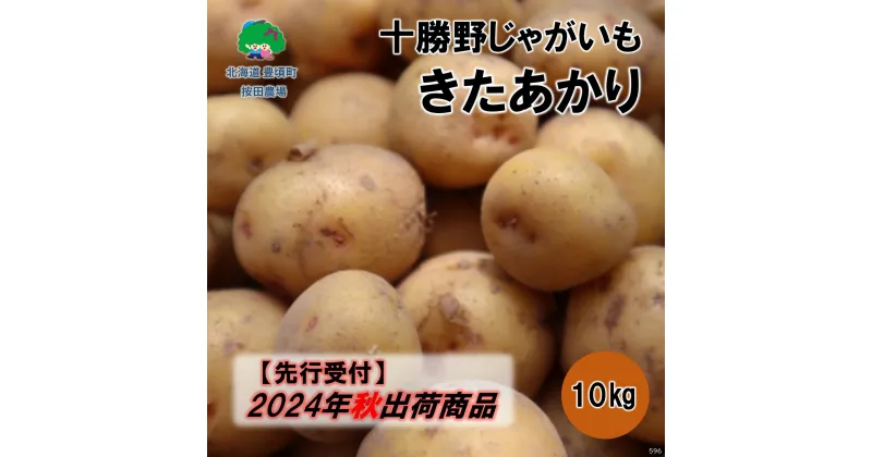 【ふるさと納税】十勝野じゃがいも きたあかり10kg【2024年秋出荷】［按田農場］”北海道 十勝 豊頃町” 先行予約 予約 特産 農家直送 数量限定 送料無料 いも 芋 ほくほく 甘い 野菜