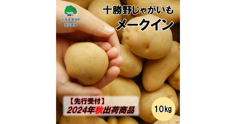 【ふるさと納税】十勝野じゃがいも メークイン10kg【2024年秋出荷】［按田農場］”北海道 十勝 豊頃町” 先行予約 予約 特産 農家直送 数量限定 送料無料 ほくほく いも 芋 甘い 野菜