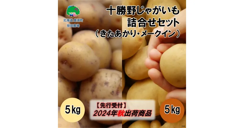 【ふるさと納税】十勝野じゃがいも詰合せセット10kg（きたあかり・メークイン）【2024年秋出荷】［按田農場］”北海道 十勝 豊頃町” 先行予約 予約 特産 農家直送 数量限定 送料無料 いも 芋 ほくほく 甘い 野菜