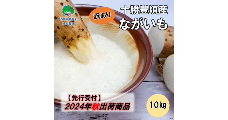 【ふるさと納税】【 2024年 秋出荷 （先行予約）】【 訳あり 】十勝豊頃産 ながいも 10kg【植村農場】” 北海道 十勝 豊頃町 ” 先行予約 予約 特産 農家直送 数量限定 送料無料 長いも 長芋