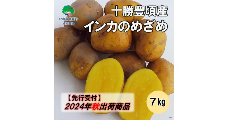 【ふるさと納税】【 2024年 秋出荷 （先行予約）】十勝豊頃産 インカのめざめ 7kg［植村農場］” 北海道 十勝 豊頃町 ” 先行予約 予約 特産 農家直送 数量限定 送料無料 いんかのめざめ いんか インカ