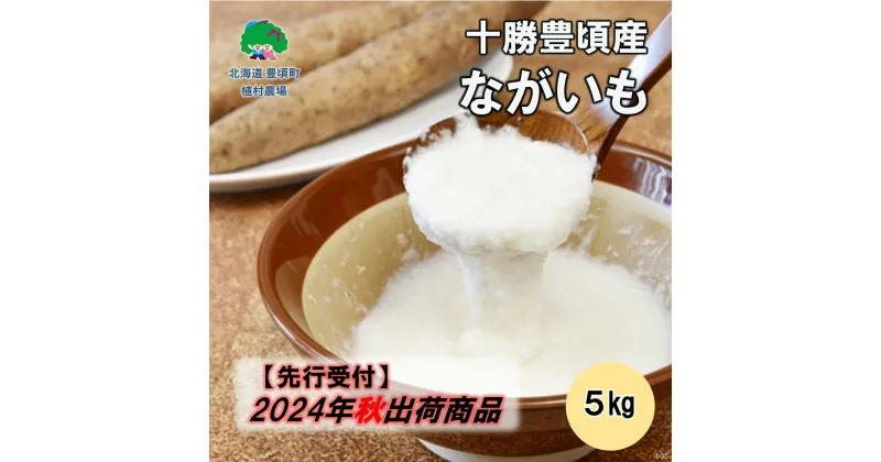 【ふるさと納税】【 2024年 秋出荷 （先行予約）】十勝豊頃産 ながいも 5kg【植村農場】” 北海道 十勝 豊頃町 ” 先行予約 予約 特産 農家直送 数量限定 送料無料 長いも